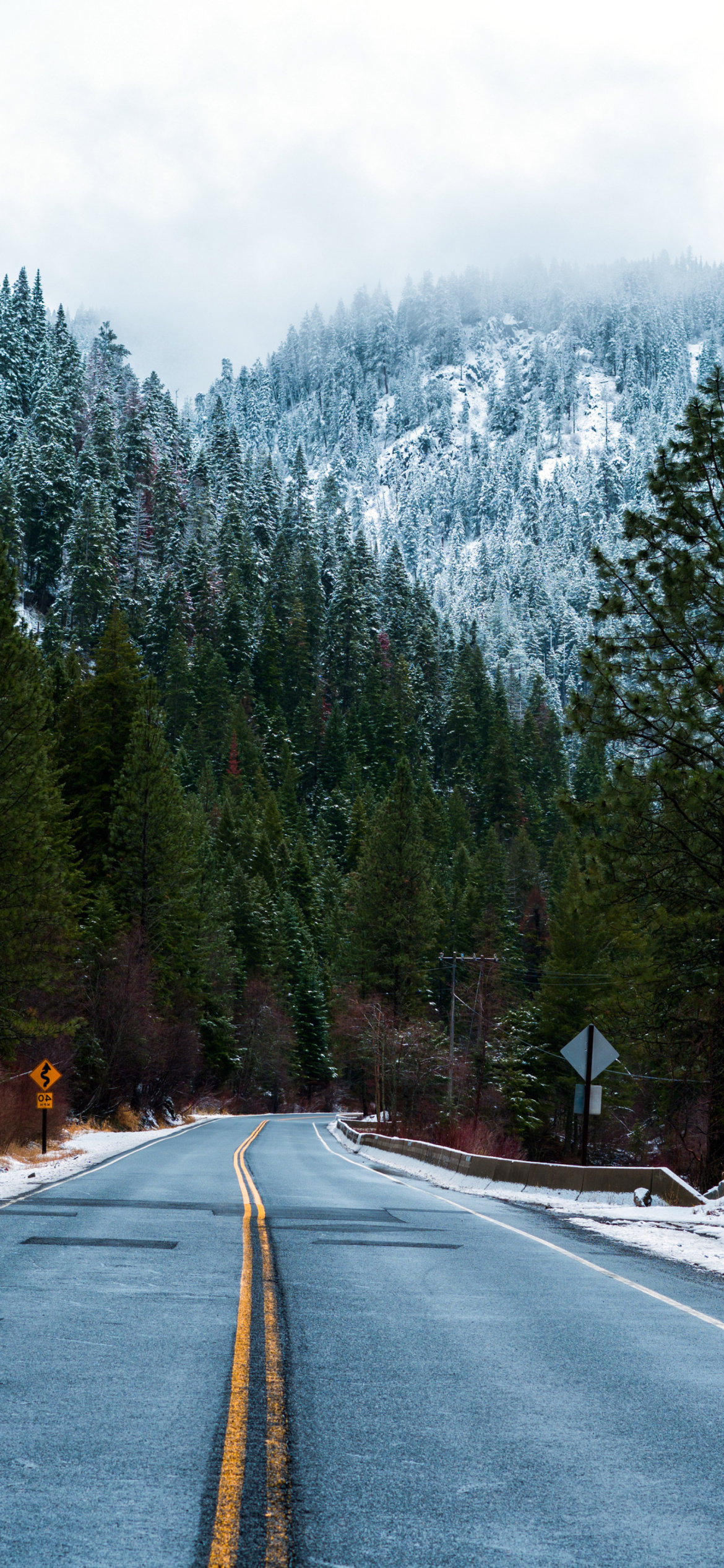 Forest Road in Winter Wallpaper for iPhone 12 Pro