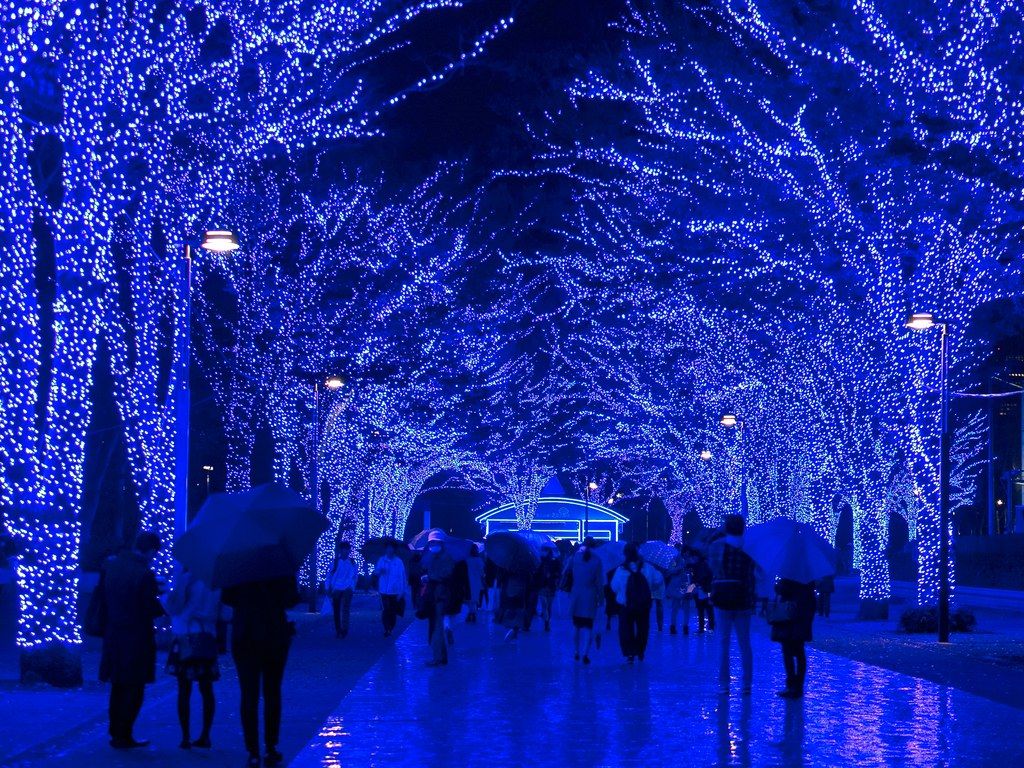 Tokyo's winter illuminations see districts around the city trying to outdo each other. Best christmas lights, Blue christmas lights, Christmas light installation