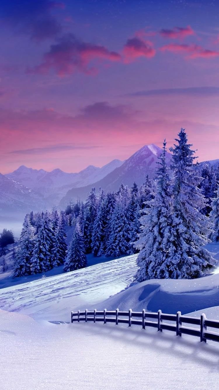 wallpapers nature winter
