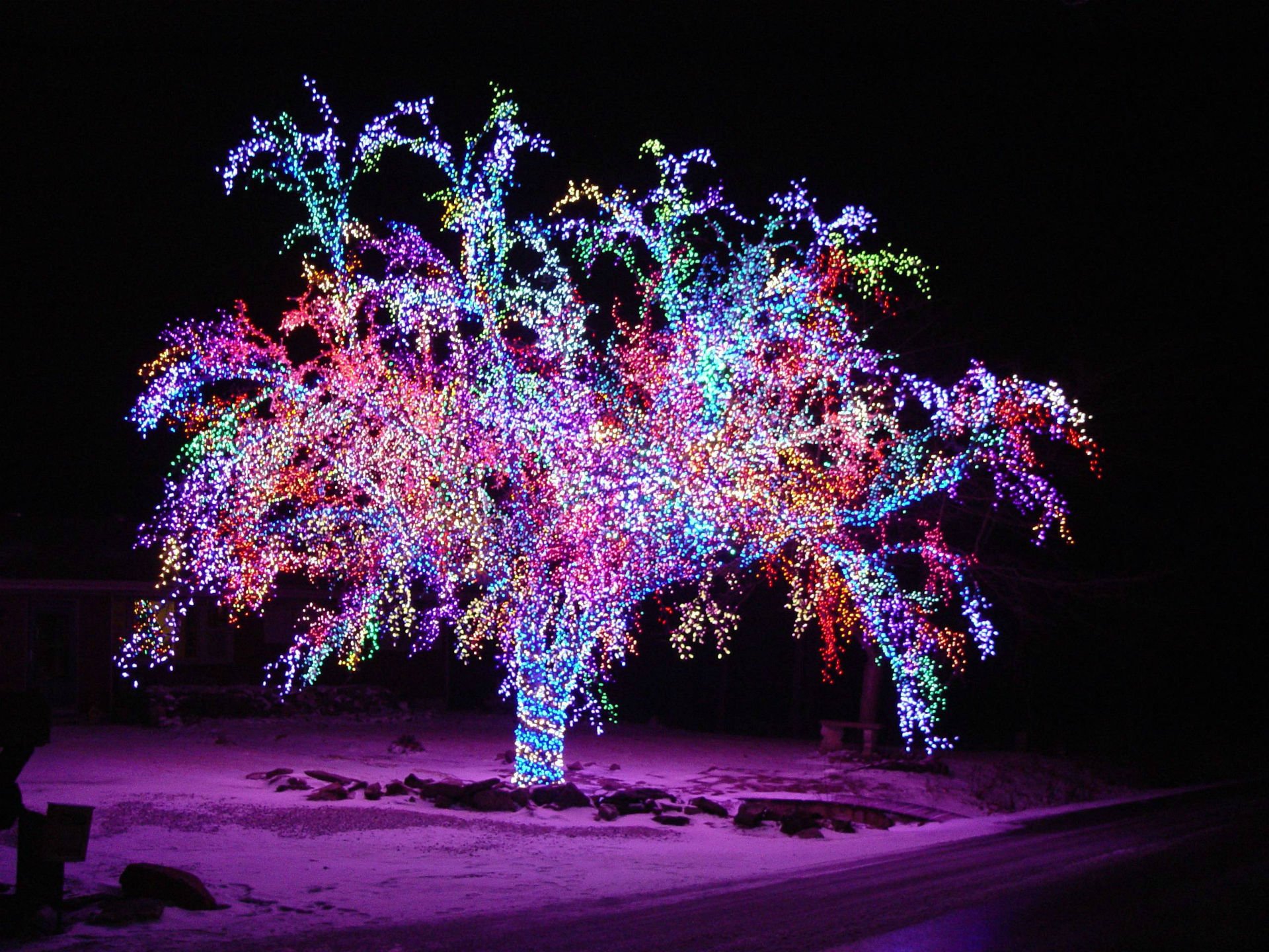 Winter Christmas Lights Background