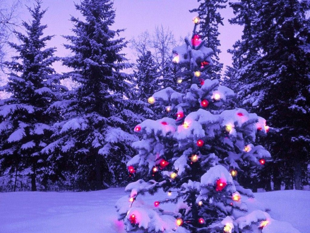 Winter Outdoor Lights Wallpapers - Wallpaper Cave