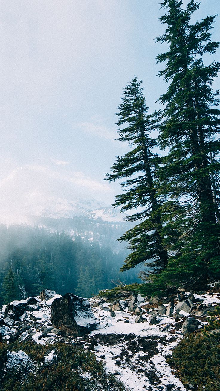 Nature iPhone Wallpaper