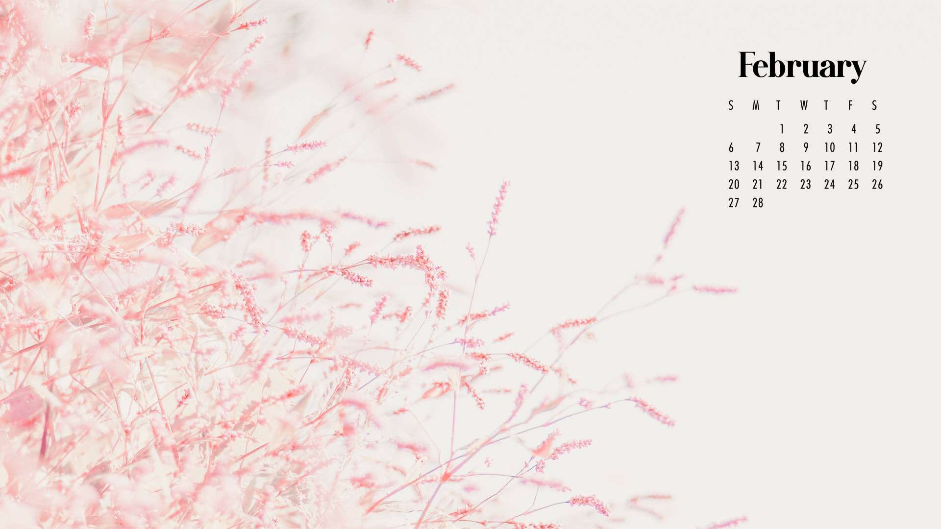 February Calendar Wallpaper Best Desktop & Phone Background