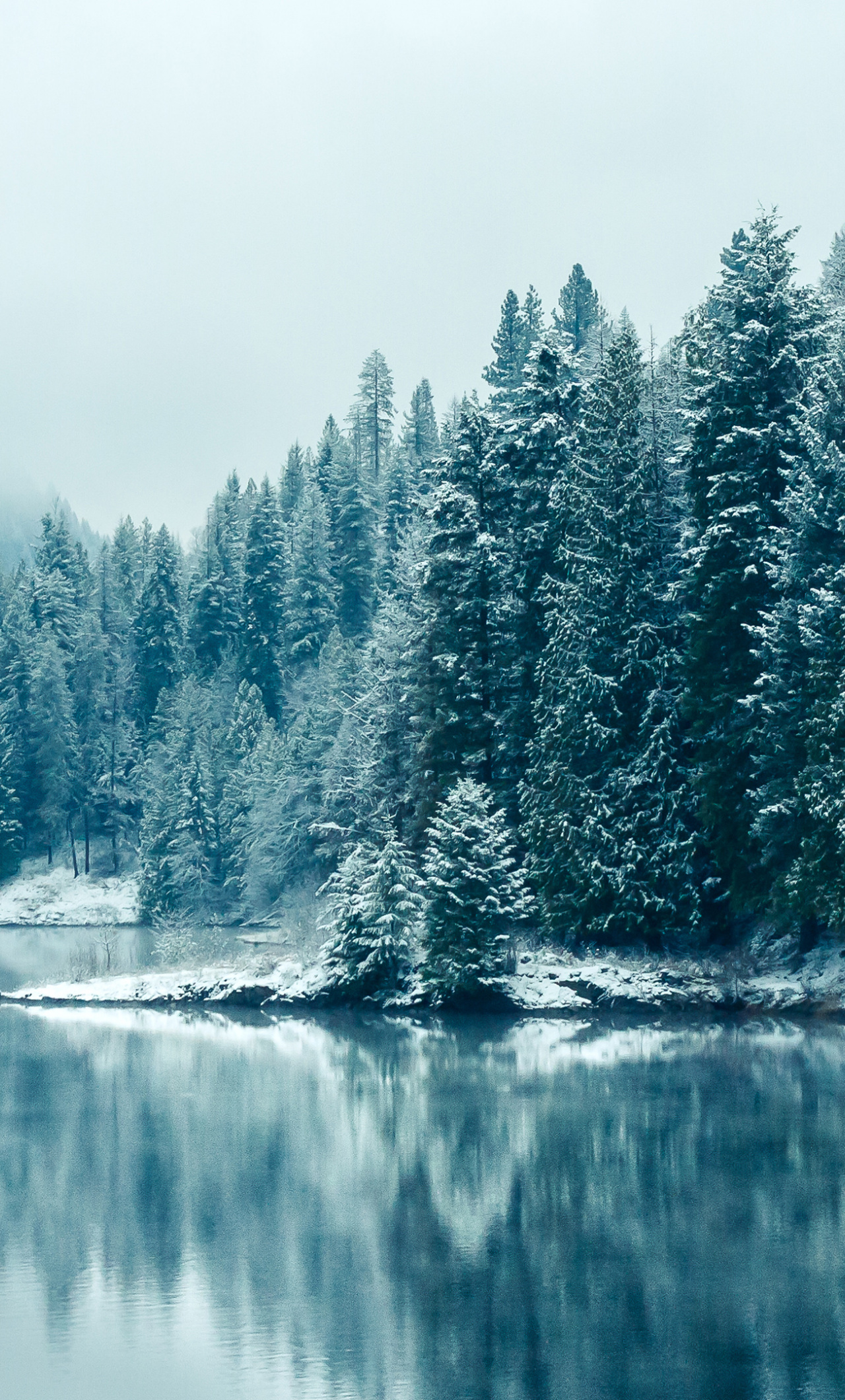 Download Kootenay river, snowfall, tree, nature, winter wallpaper, 1280x2120, iPhone 6 Plus