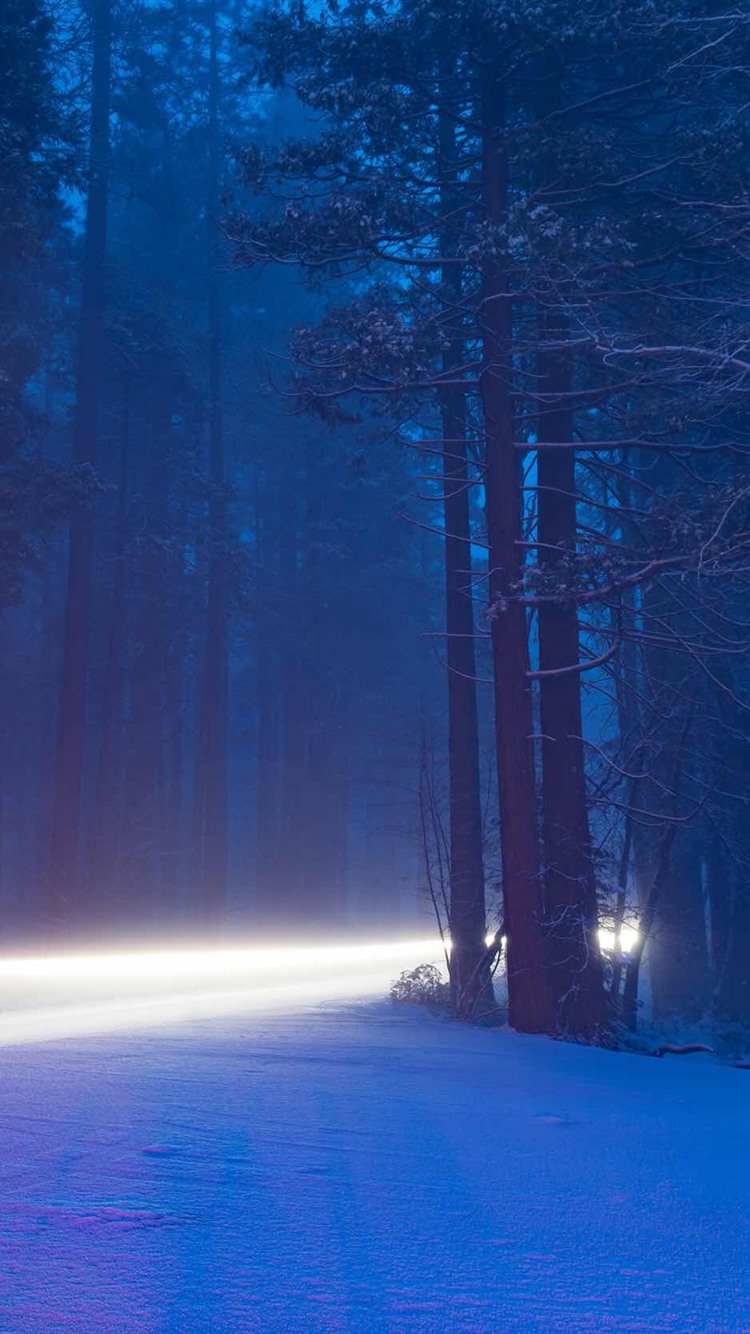 Yosemite National Park, Beautiful Nature Landscape, Snow, Trees, Winter 750x1334 IPhone 8 7 6 6S Wallpaper, Background, Picture, Image