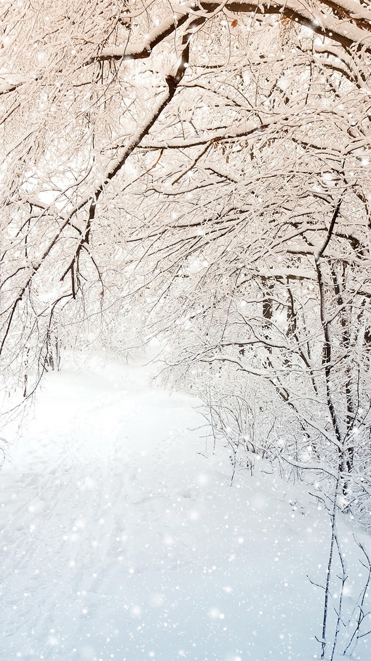 Snow Wallpaper iPhone 6