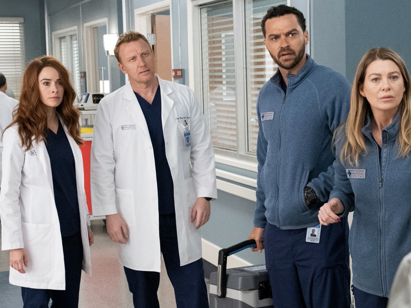 Grey's Anatomy' Season 17 Cast: Who's New, Who's Leaving and Who's Returning