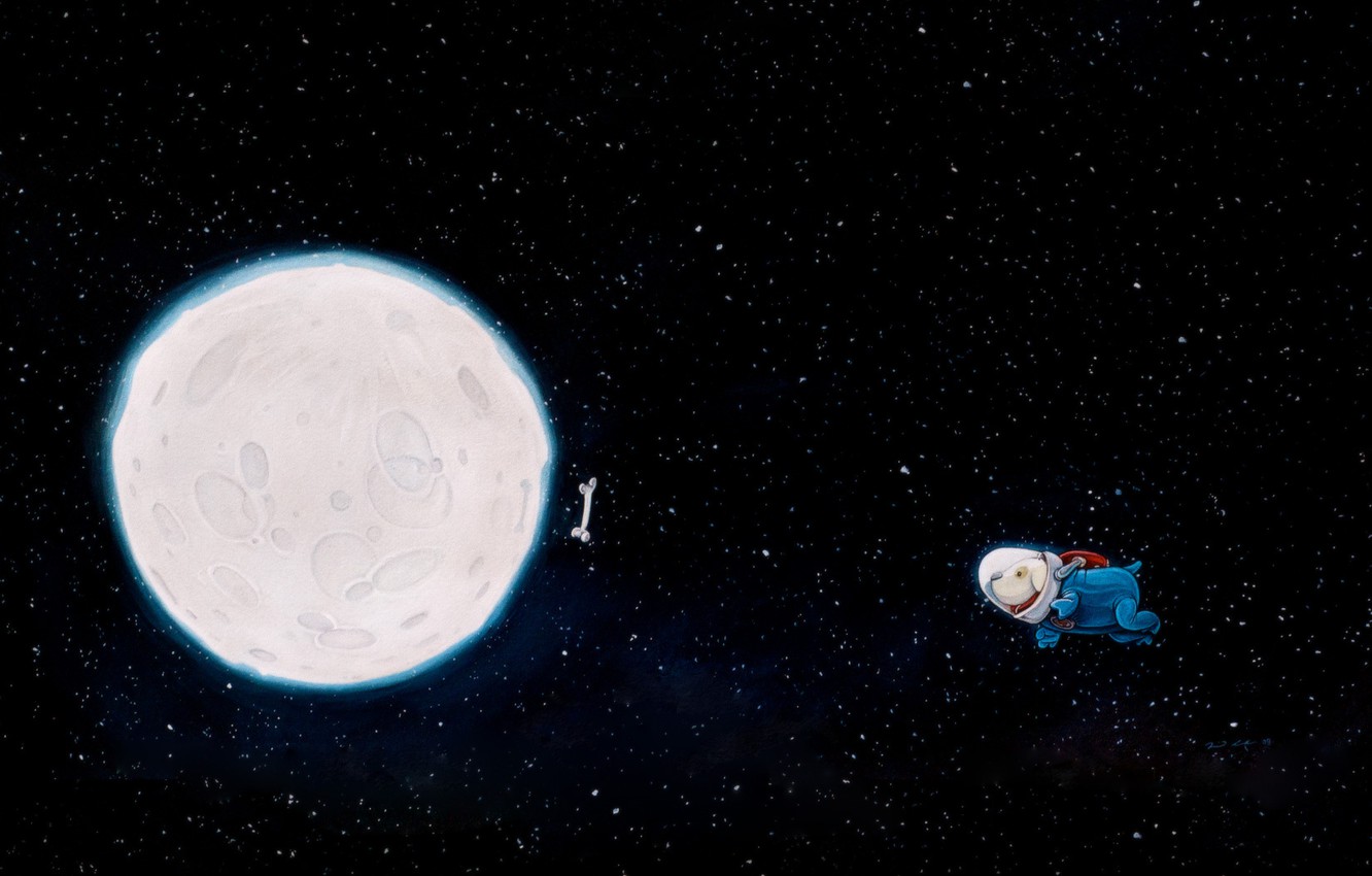 Wallpaper space, style, figure, chase, dog, minimalism, art, bone, picture, image image for desktop, section собаки