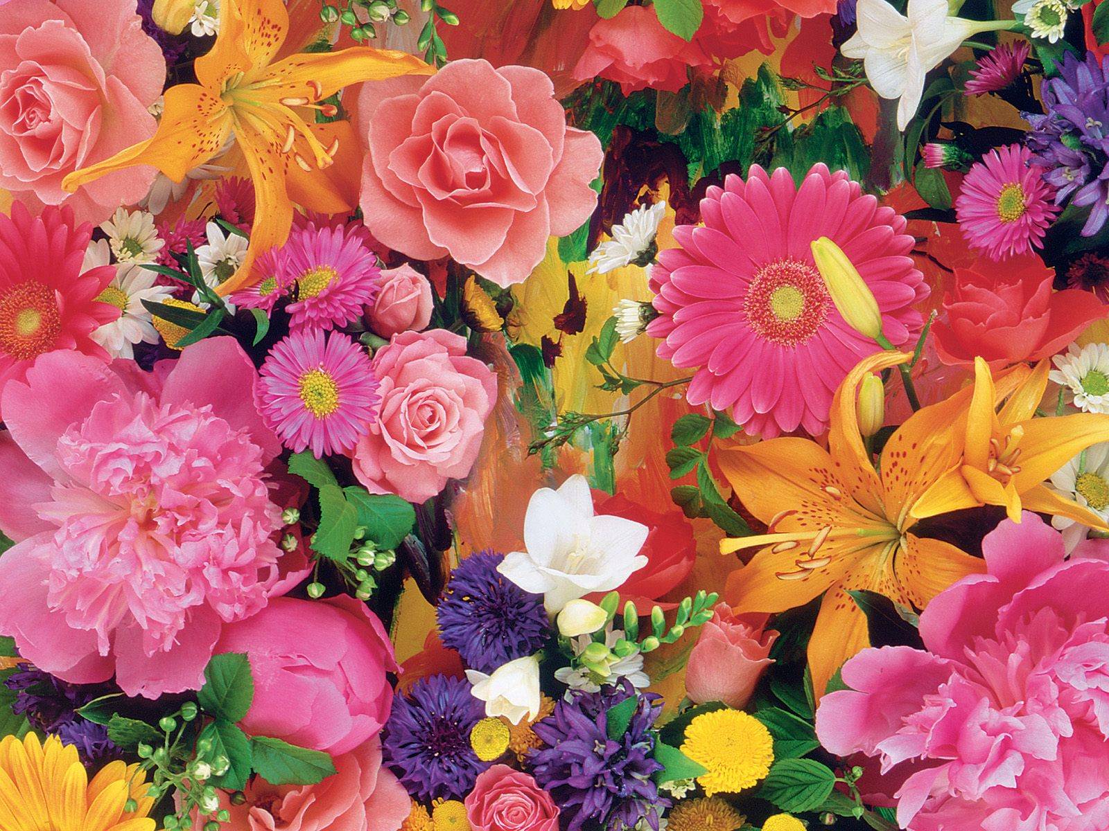Colourfull Flowers Live Wallpaper HD