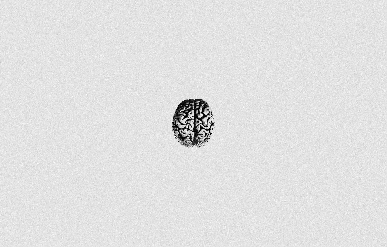Wallpaper Brain, White, Rap, Scream, Black and White, Trap_metal, LXRDSZN, SCARLXRD image for desktop, section минимализм
