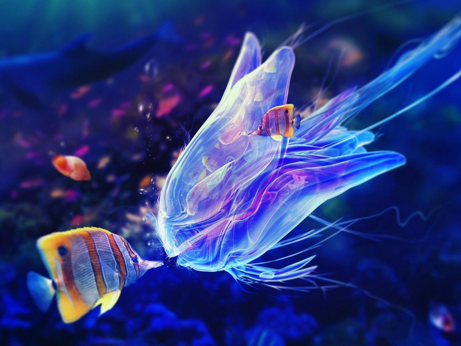 Marine Animals Sea Fish Jellyfish Ultra 3840x2160 HD Wallpaper, Wallpaper13.com