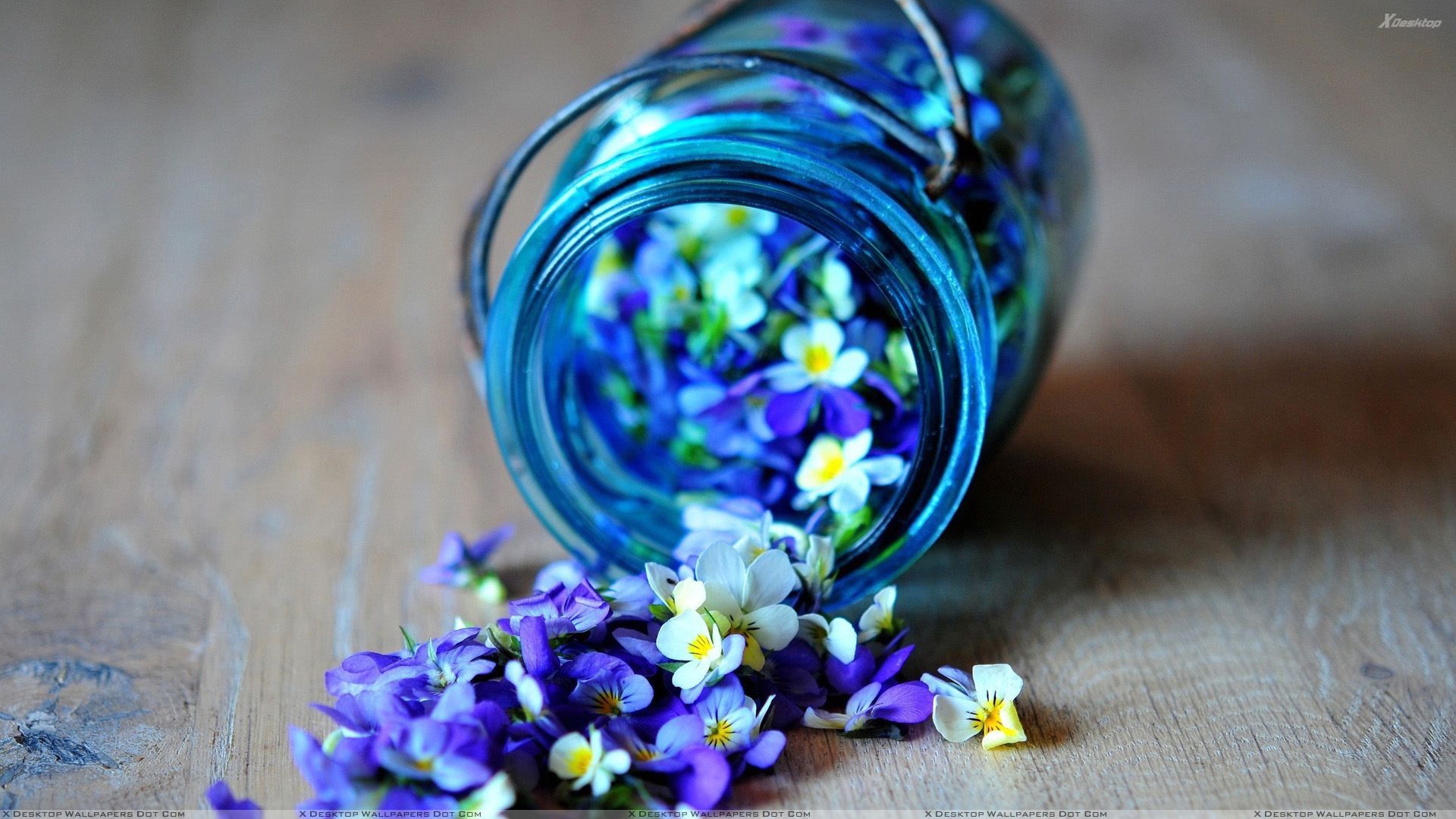 flowers in bottles. Flowers In Glass Bottle Wallpaper. Beautiful flowers, Blue flowers, Purple flowers