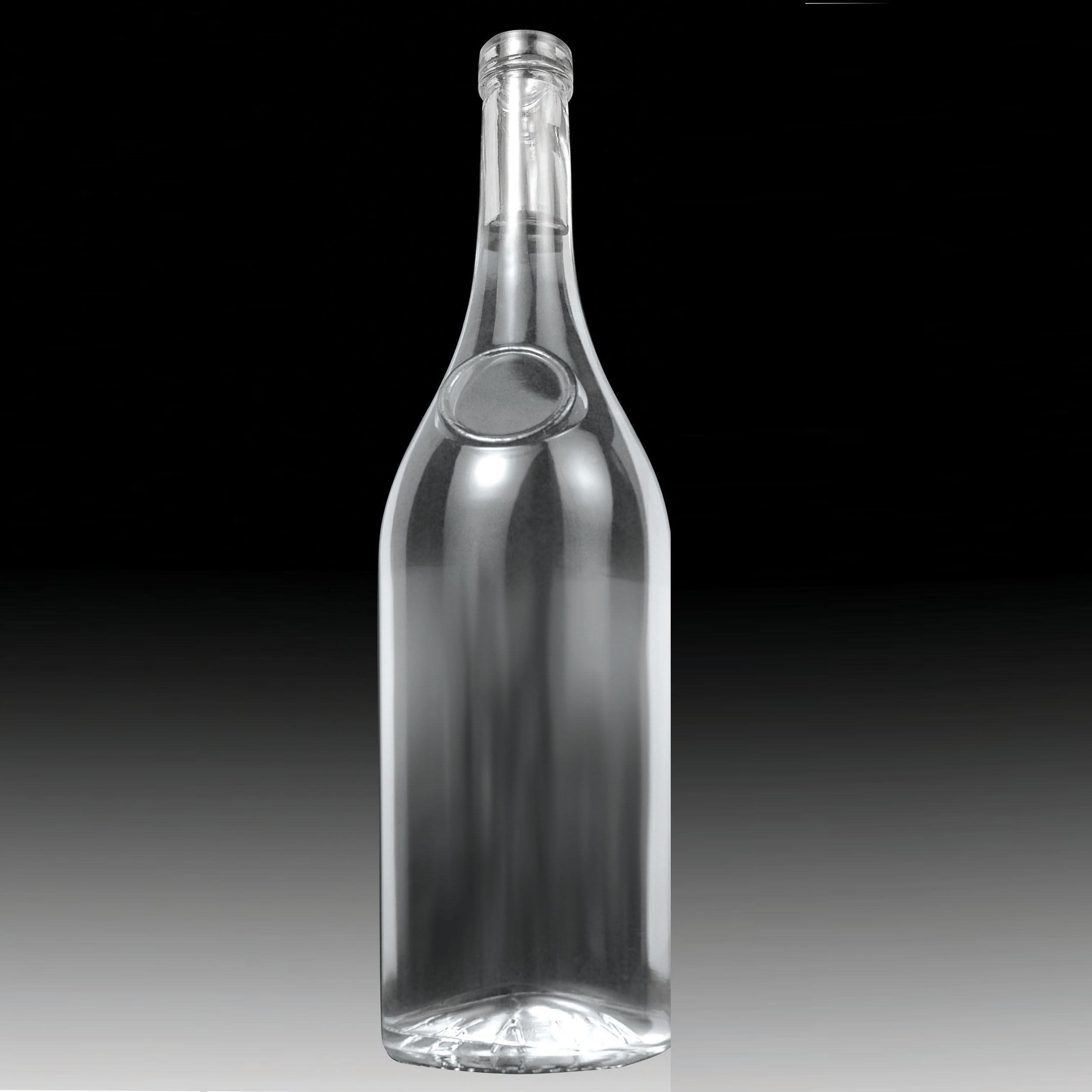 Empty Champagne Bottle , 2530x2530. All For Desktop