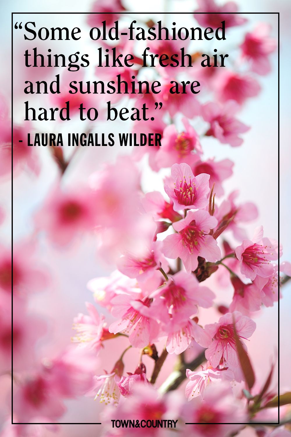 Best Spring Quotes and Funny Sayings About Spring