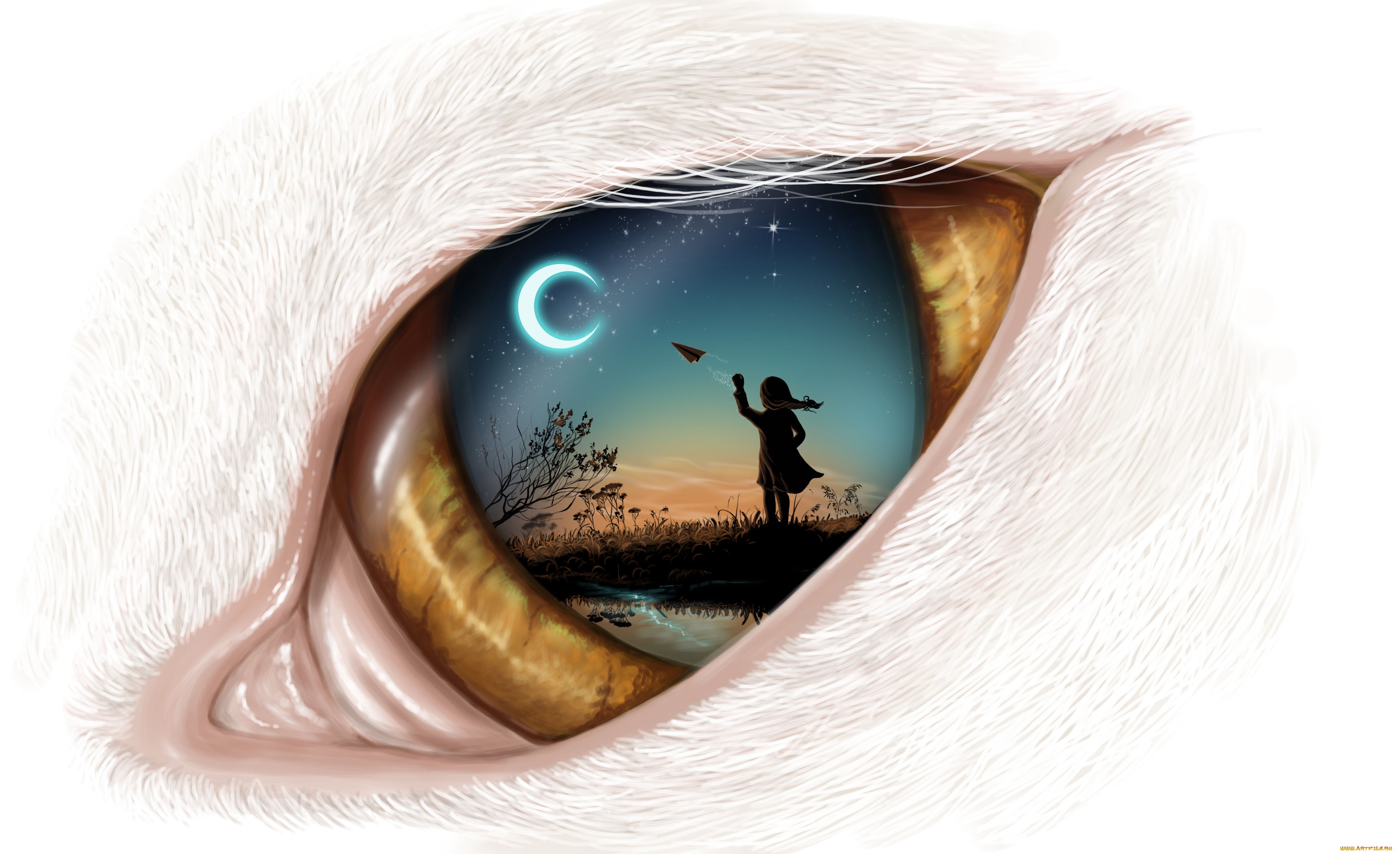 Dream In Eye, HD Artist, 4k Wallpaper, Image, Background, Photo and Picture