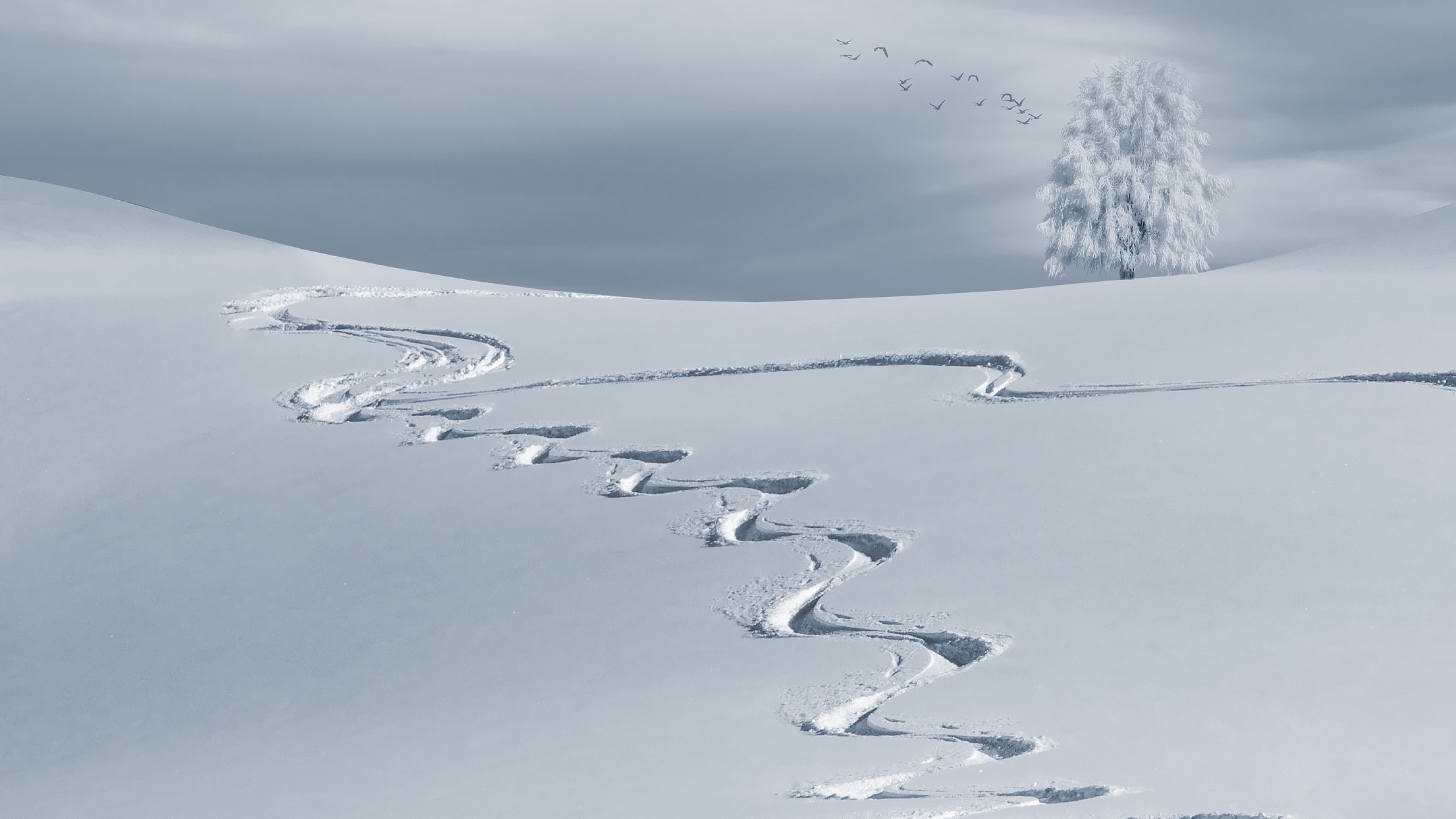 Ski Tracks in the Snow HD Wallpaper