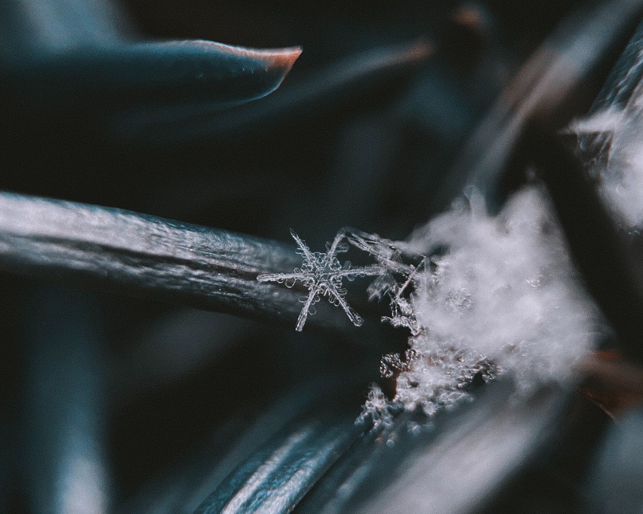 Download wallpaper 1280x1024 snowflake, macro, closeup, winter standard 5:4 HD background