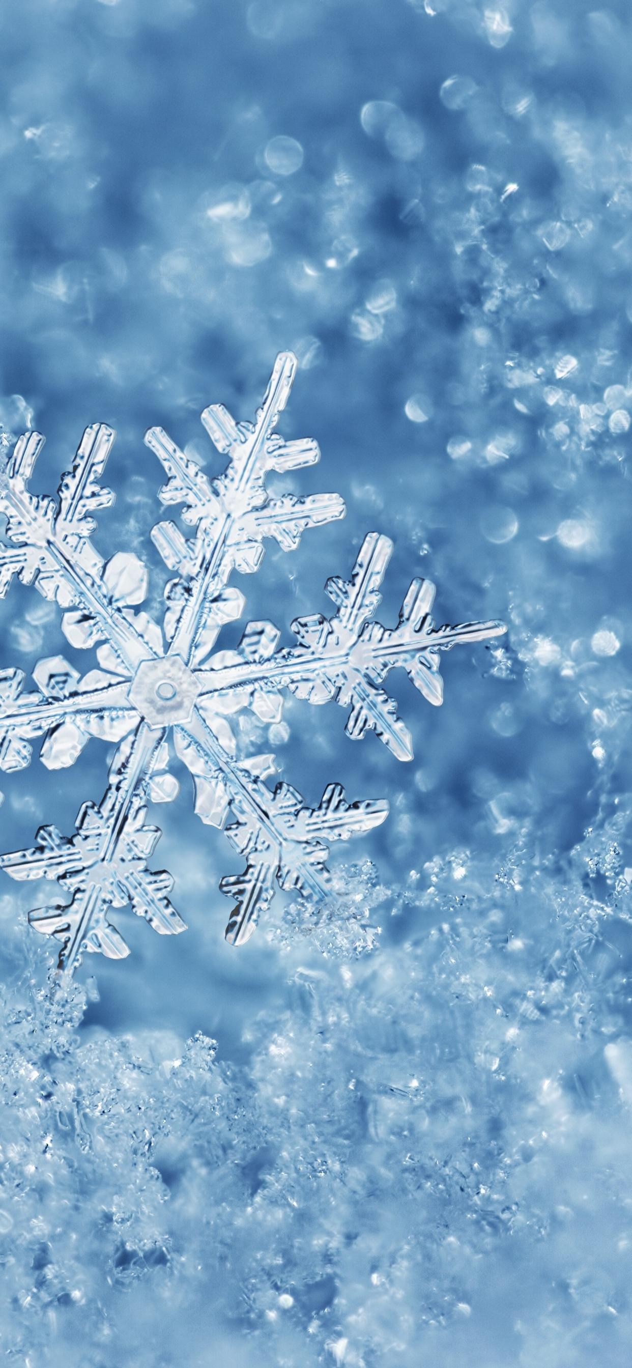 Perfect snowflake cold and ice winter wallpaper