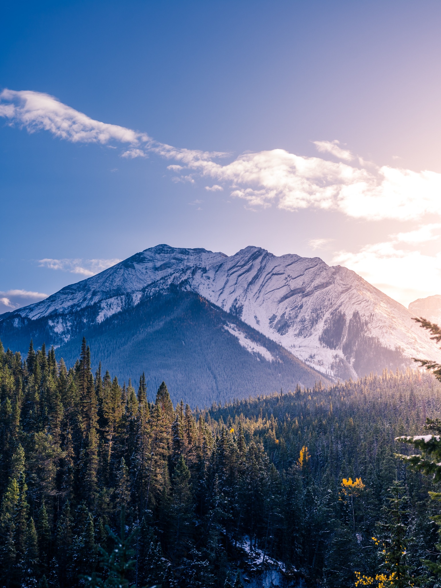 Snow mountains Wallpaper 4K, Pine trees, Clear sky, Clouds, Sunset, Nature