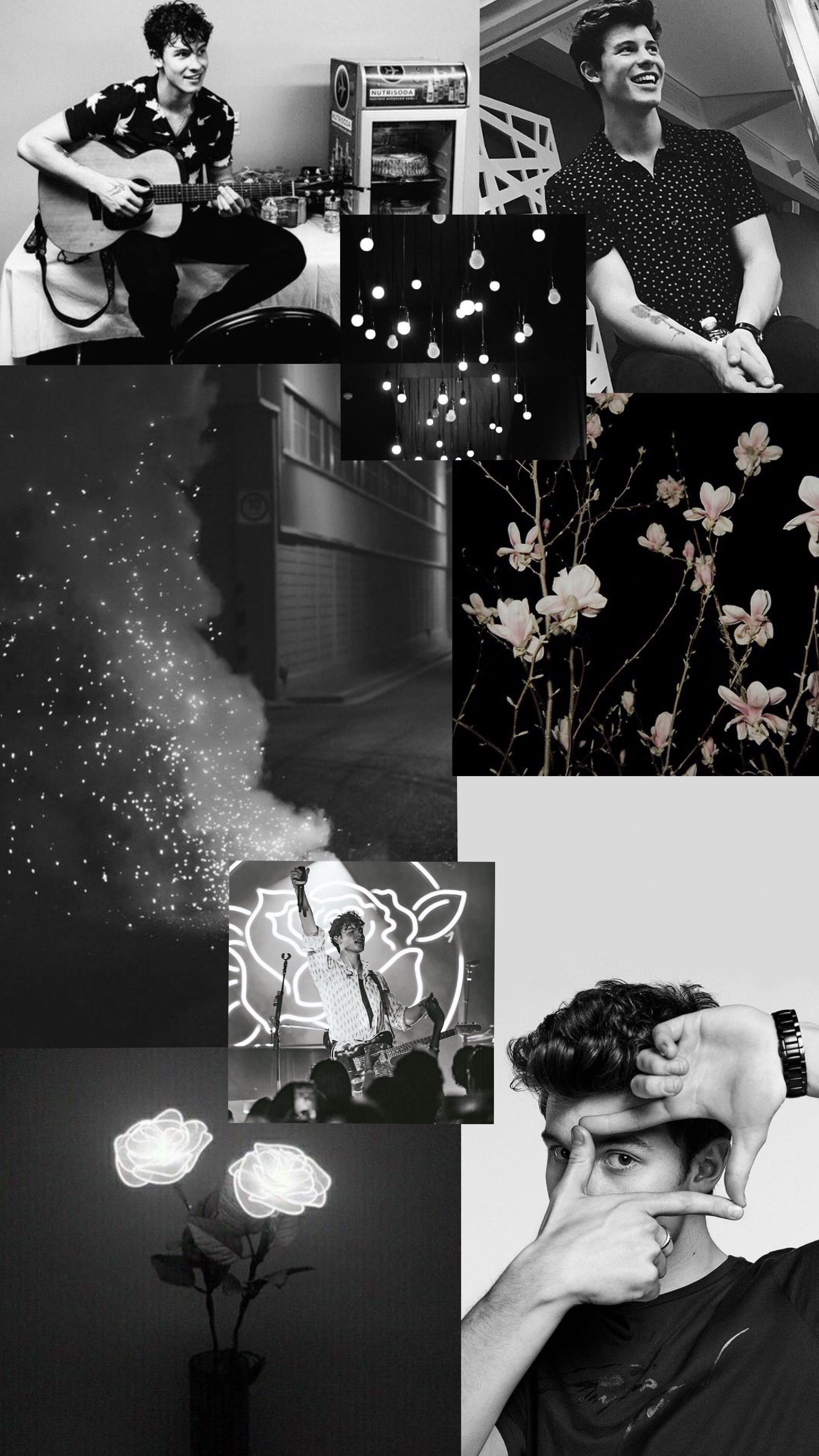 Elevate Your Device with Striking Shawn Mendes Wallpaper