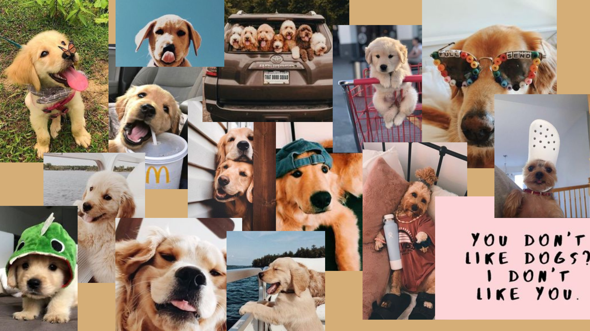 g o o f y b o y. Cute puppy wallpaper, Cute laptop wallpaper, Puppy wallpaper
