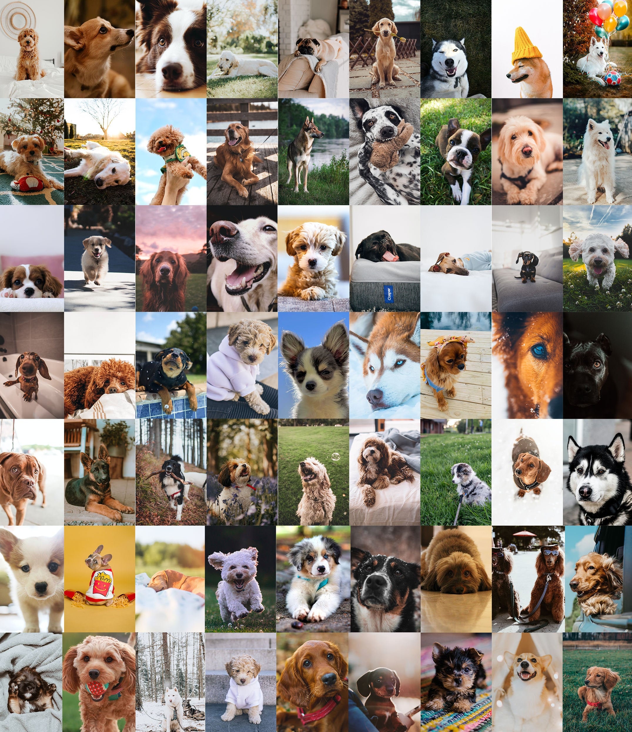 Dog Collage Wallpapers - Wallpaper Cave