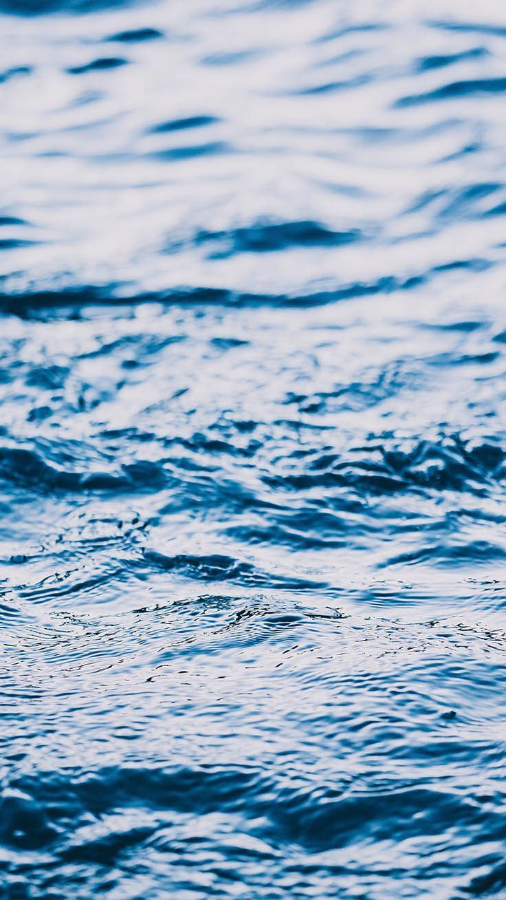 Cute Blue iPhone Wallpaper