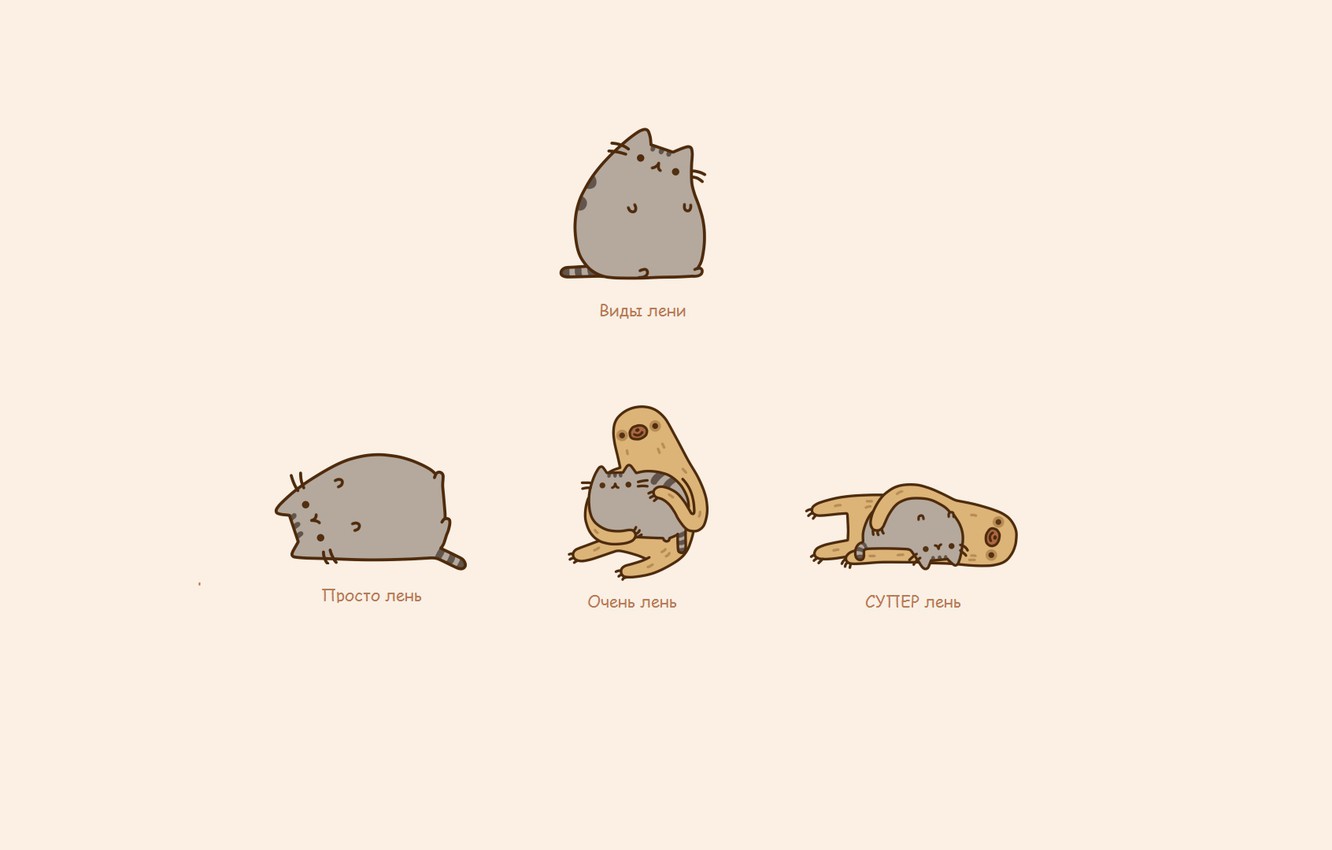 Wallpaper cat, mood, humor, sloth, laziness image for desktop, section минимализм