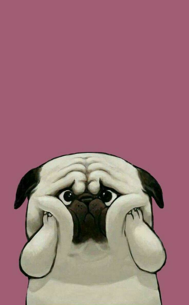Wallpaper. Puppy wallpaper iphone, Pug wallpaper, Dog wallpaper