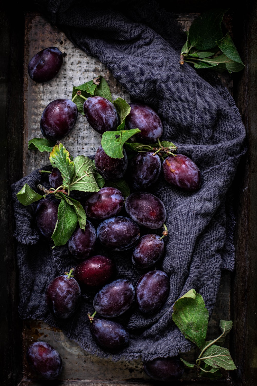 Plums Picture. Download Free Image