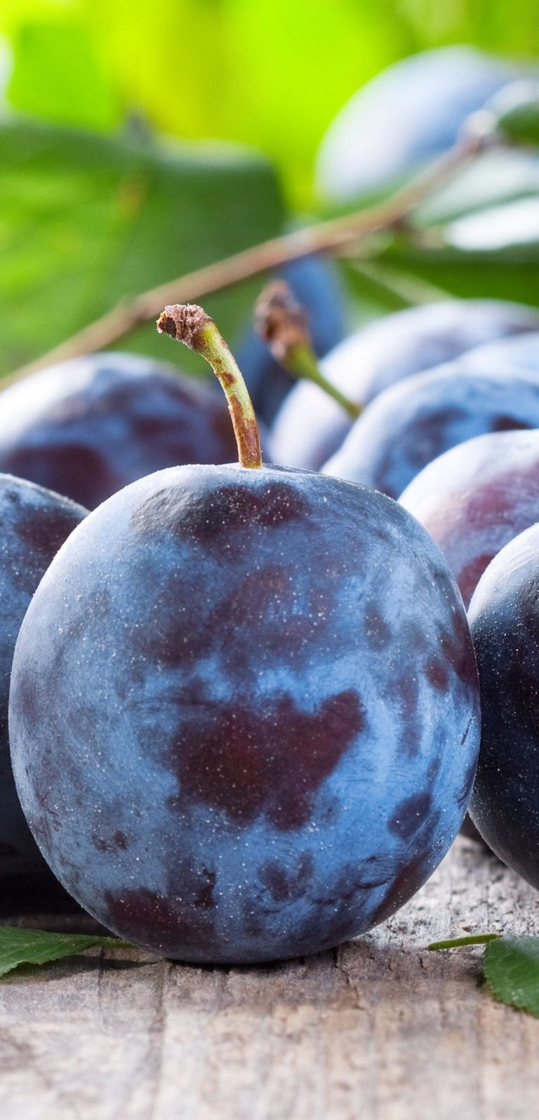 Fruit and berries. Plum fruit, Fruit, Plum