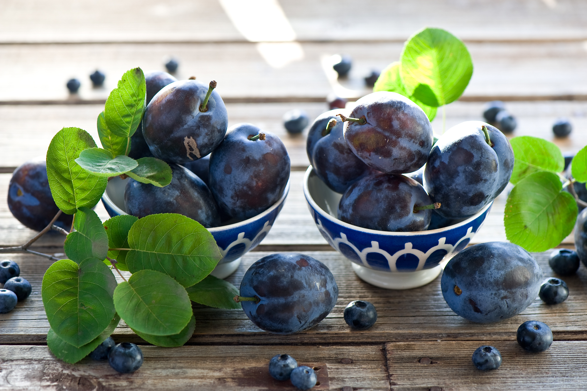 Plum Fruit Blueberry Wallpaper:2000x1331