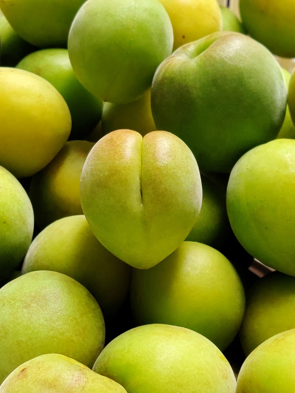 Green Plum Picture. Download Free Image
