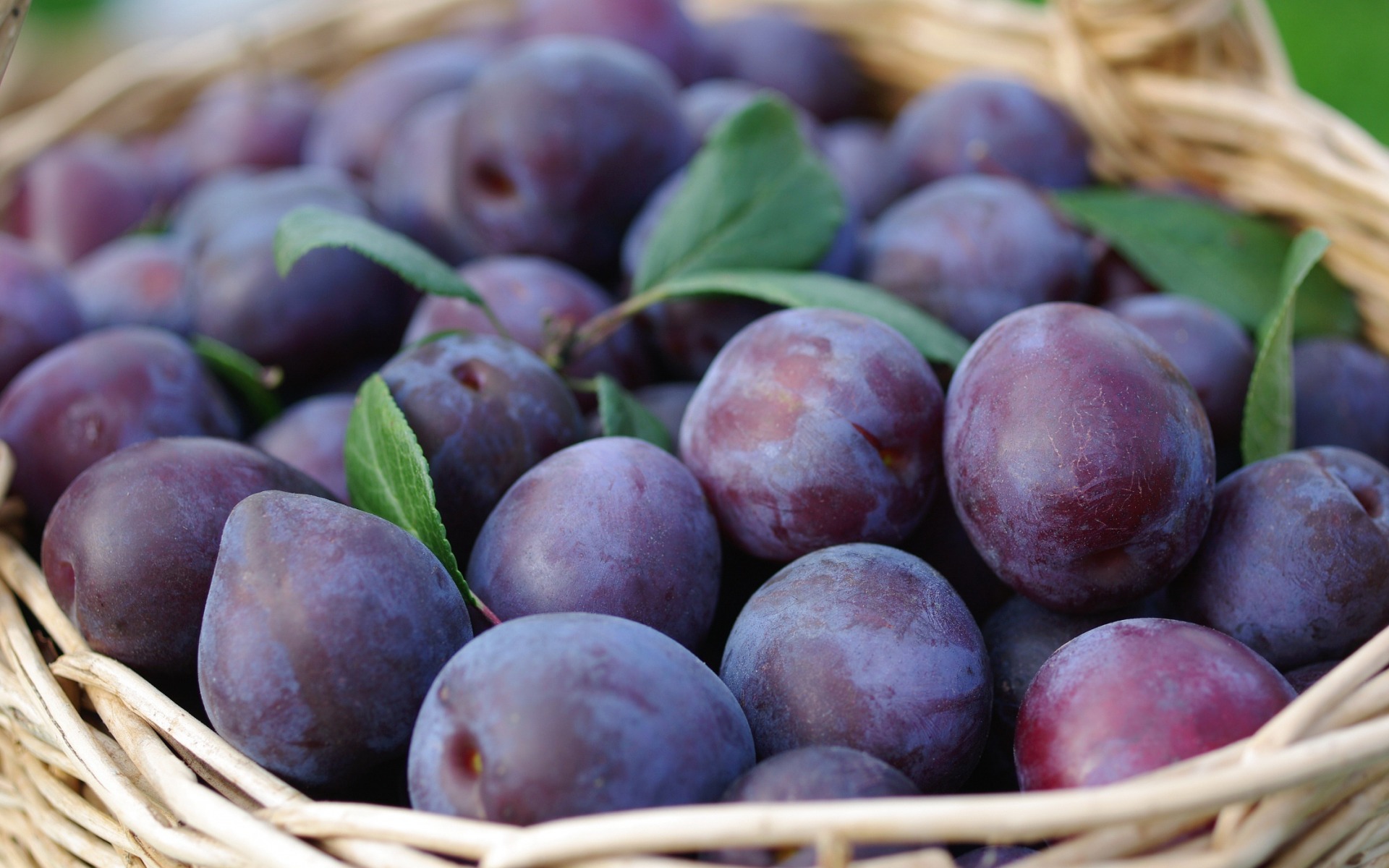 Download wallpapers plums, fruit, harvest, plate with plums for desktop wit...