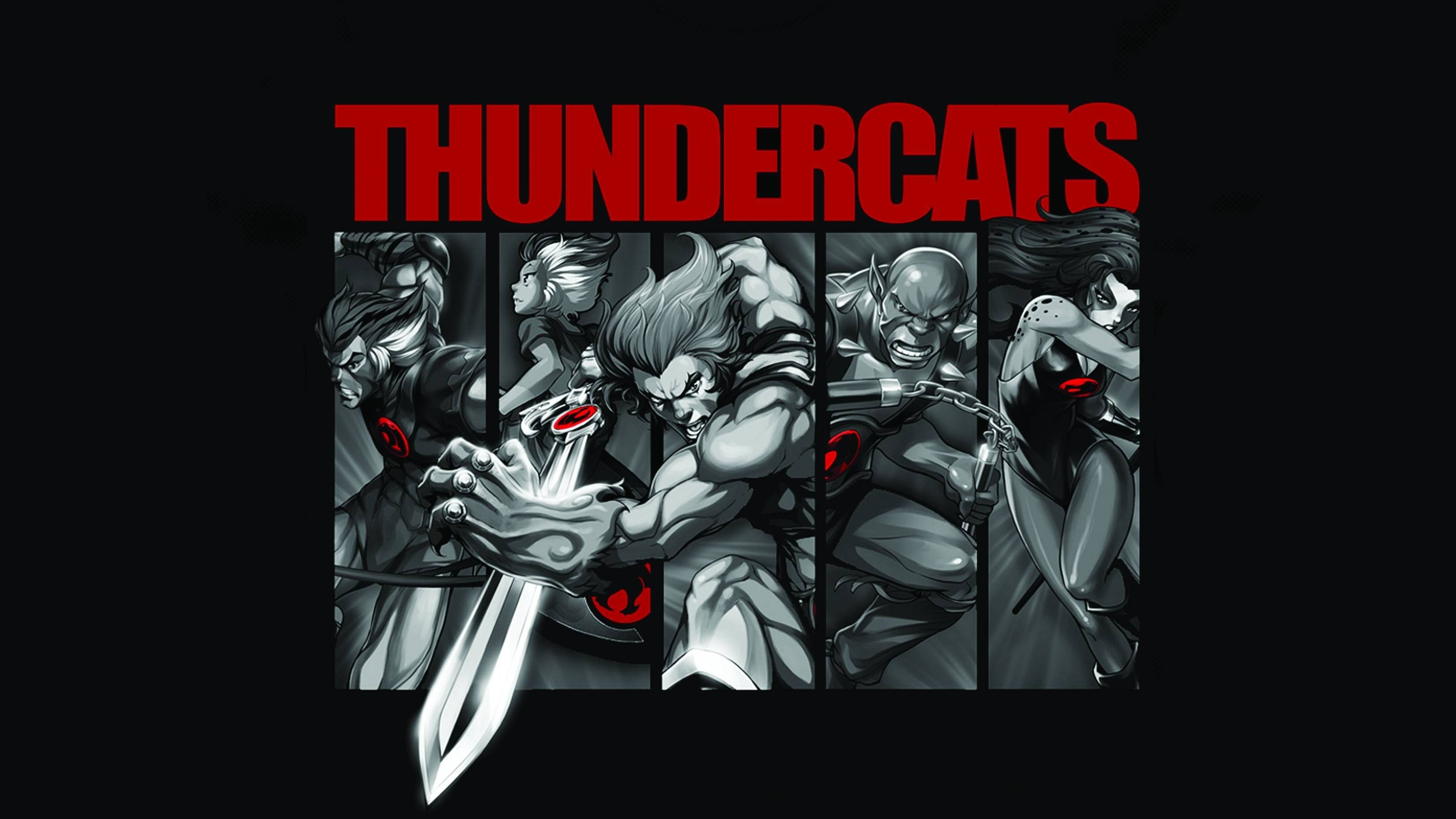 Thundercats. Thundercats, Cartoon wallpaper, 80s cartoons