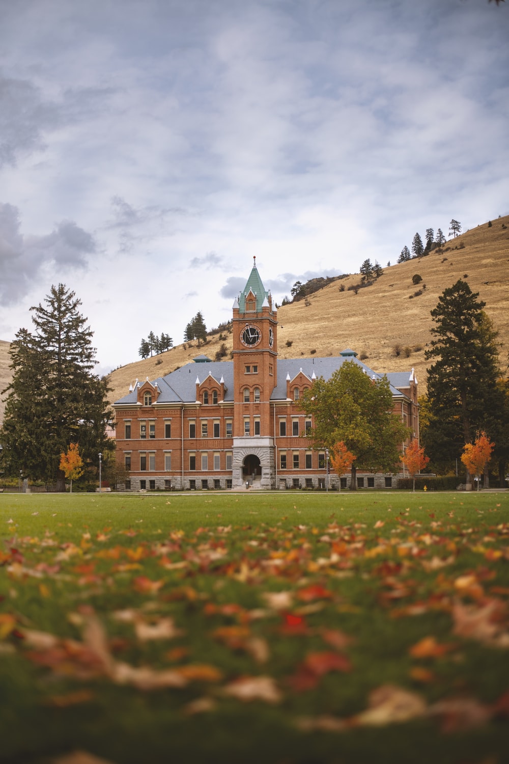 30,University Of Cambridge Picture. Download Free Image