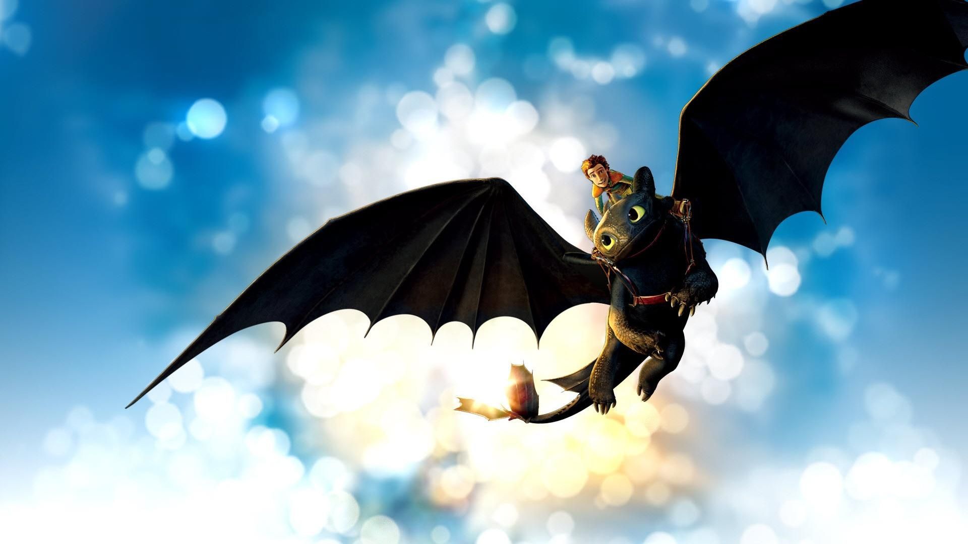 How To Train Your Dragon Wallpaper, HD How To Train Your Dragon Background on WallpaperBat