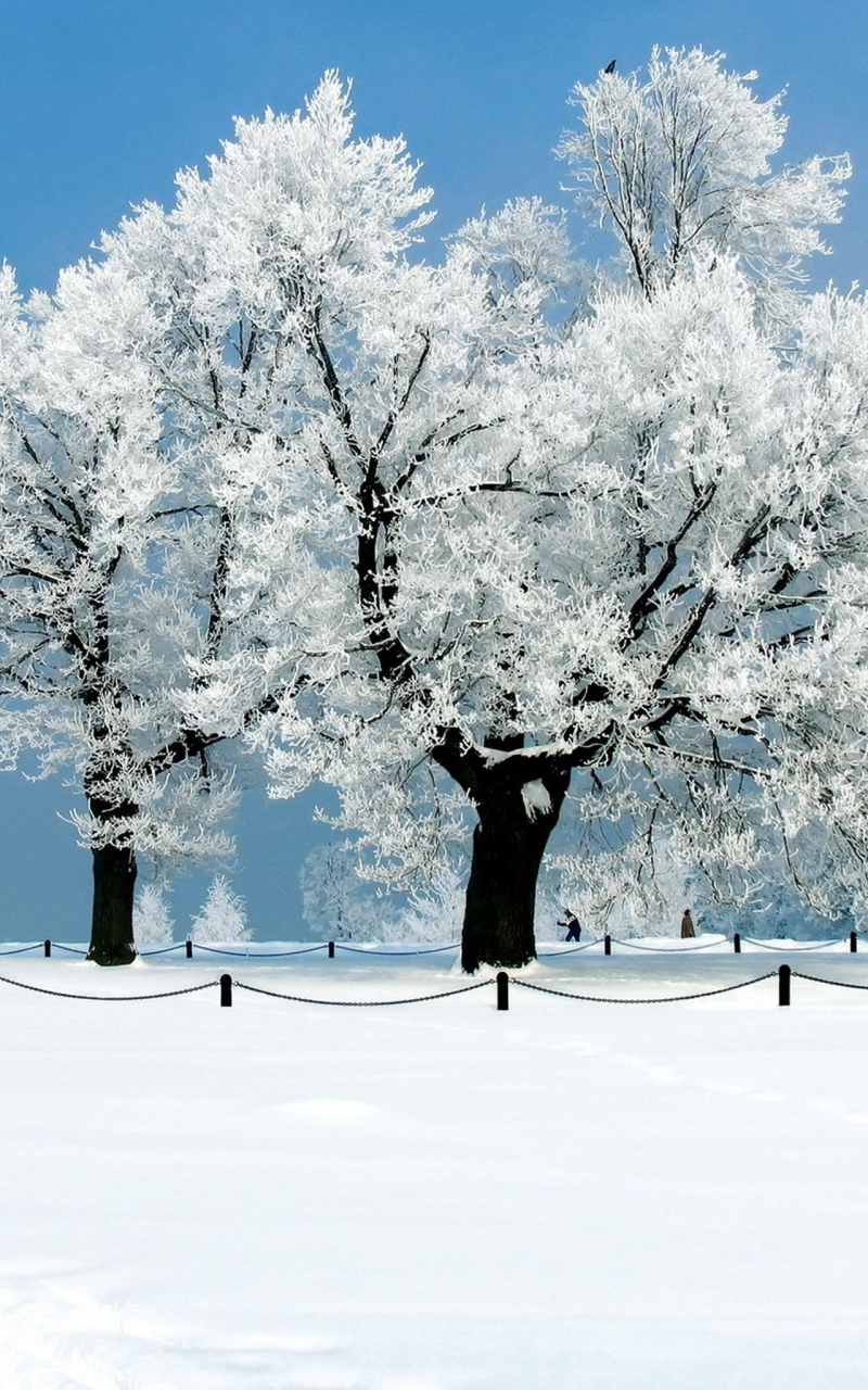 Free download Beautiful Winter Snow Scenes iPad Wallpaper Picture [2048x2048] for your Desktop, Mobile & Tablet. Explore Beautiful Winter Wallpaper for iPads. Free Winter Wallpaper for iPad, iPad 4