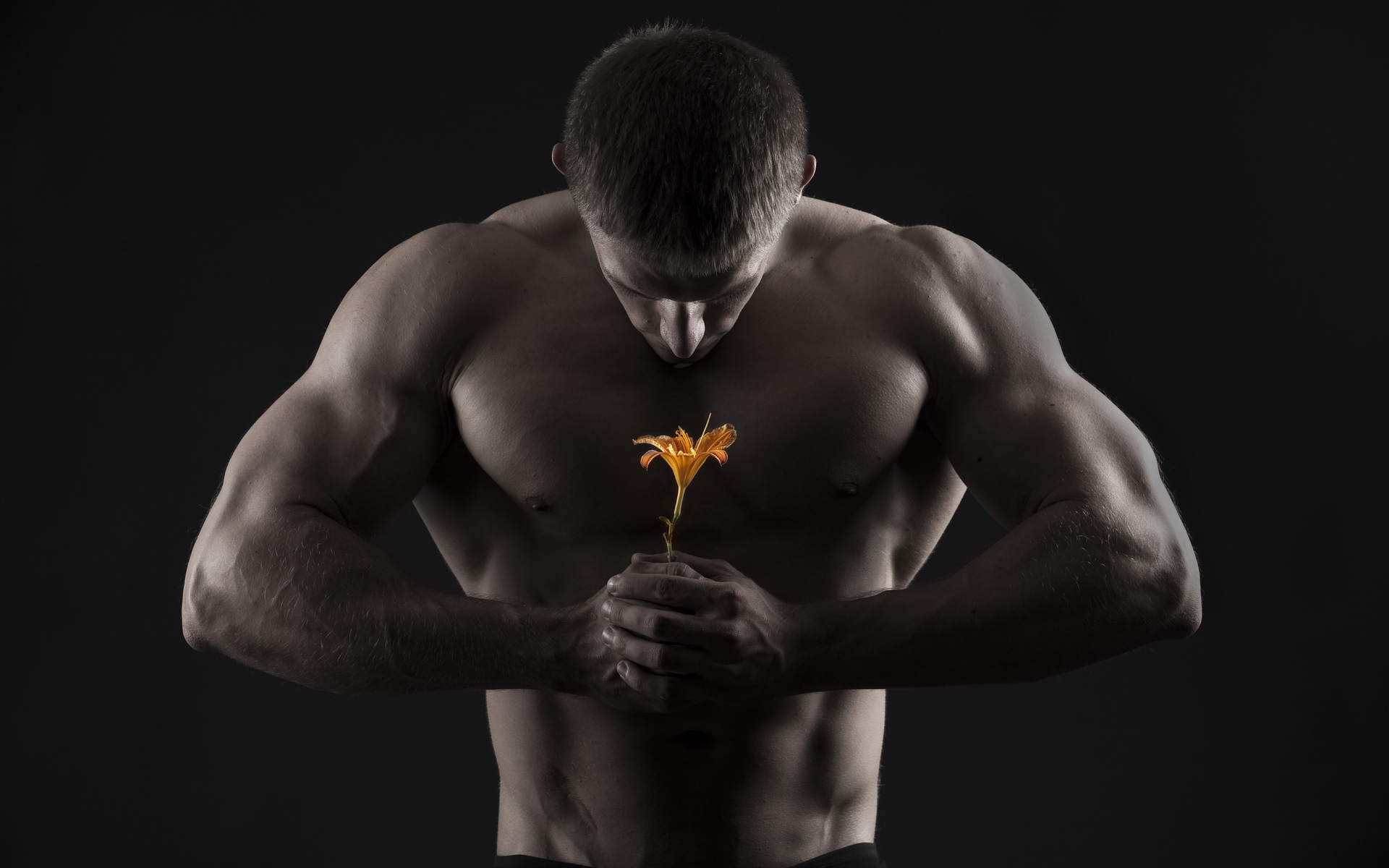 Mushchina Muscles Flower Men Males Mood Flowers Wallpapers.