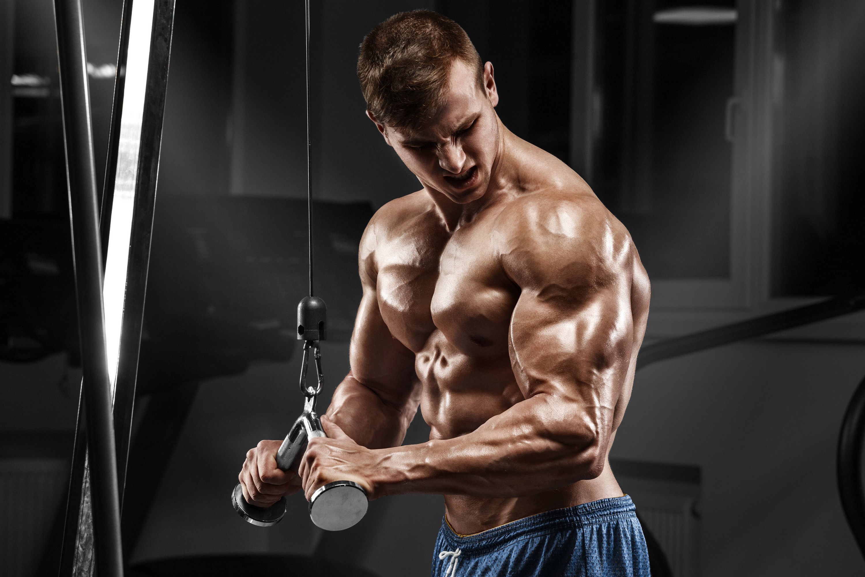 Bodybuilding Fitness Man Muscle Wallpapers.