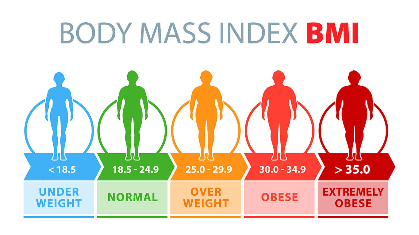 Definition For Body Mass Index