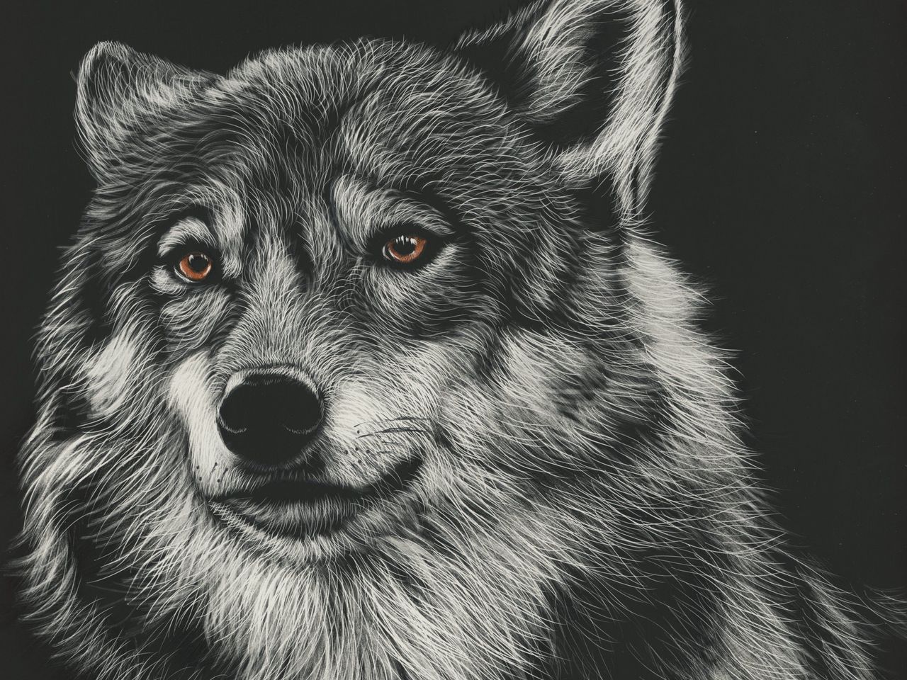Download wallpaper 1280x960 wolf, drawing, art, predator, head standard 4:3 HD background