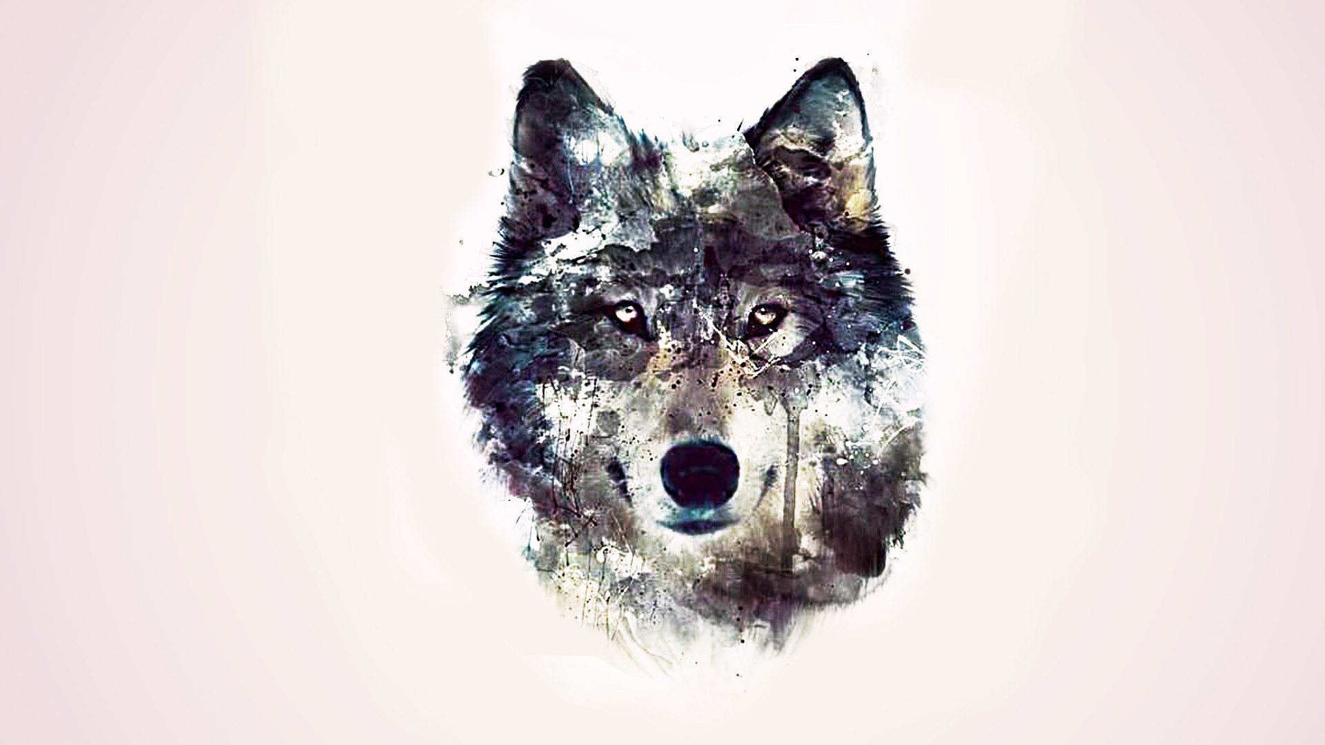 Download eye, wolf, wolf head free wallpaper