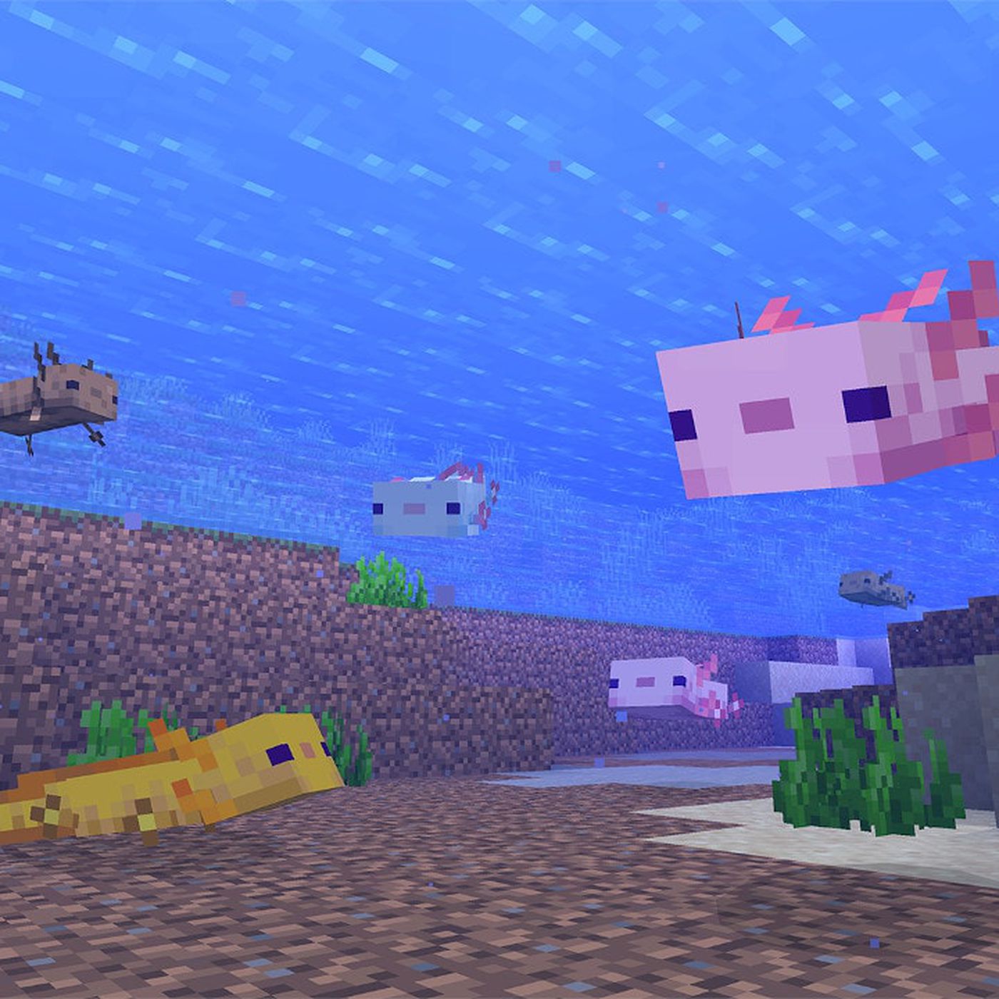 Minecraft Axolotls Wallpapers - Wallpaper Cave