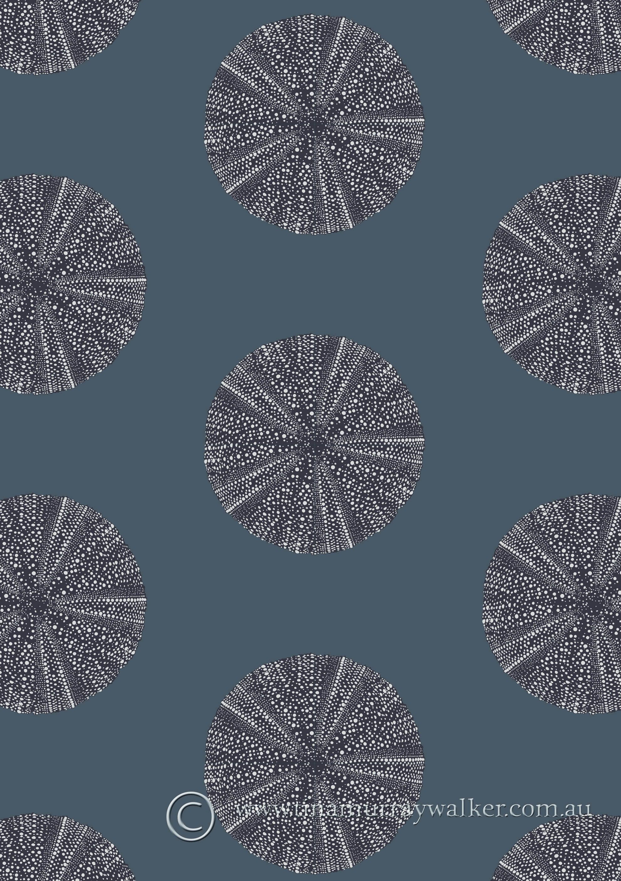 Sea Urchin wallpaper design. Sea urchin, Surface pattern design, Wallpaper