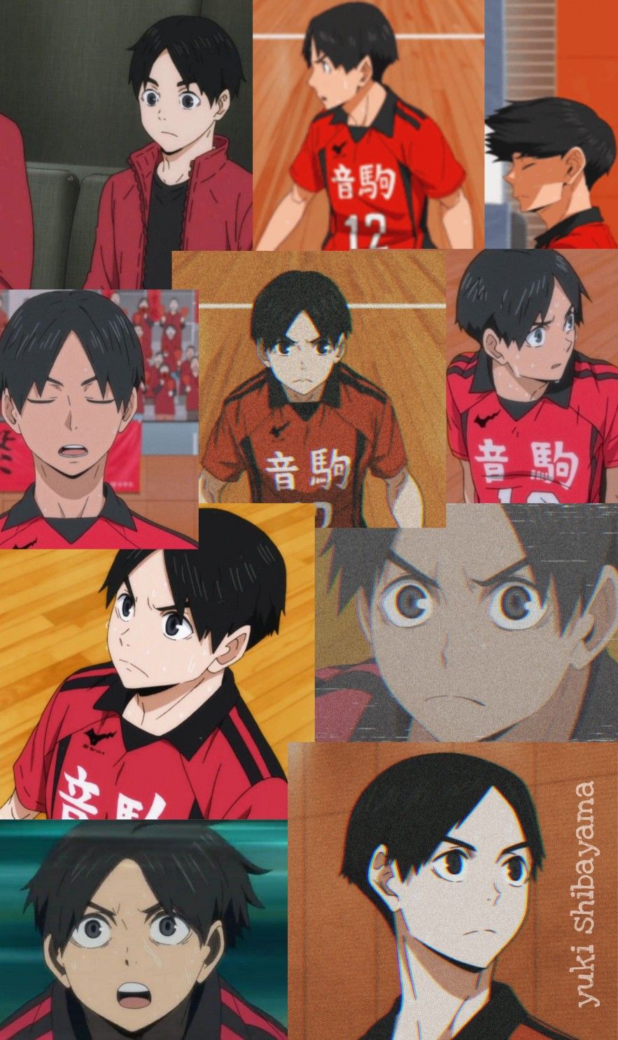 yuki shibayama. Haikyuu anime, Yūki shibayama, Anime