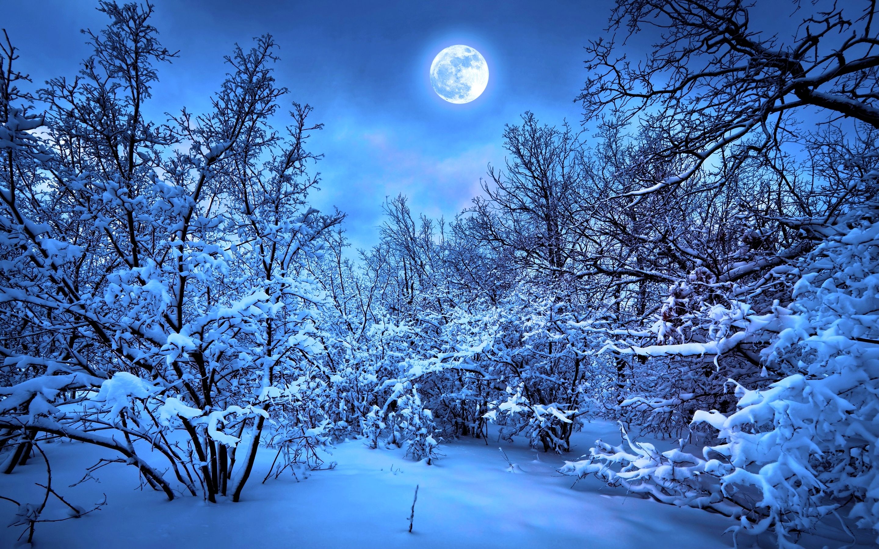 Macbook Wallpaper 4K Nature Ideas. Winter moon, Snow forest, Winter wallpaper