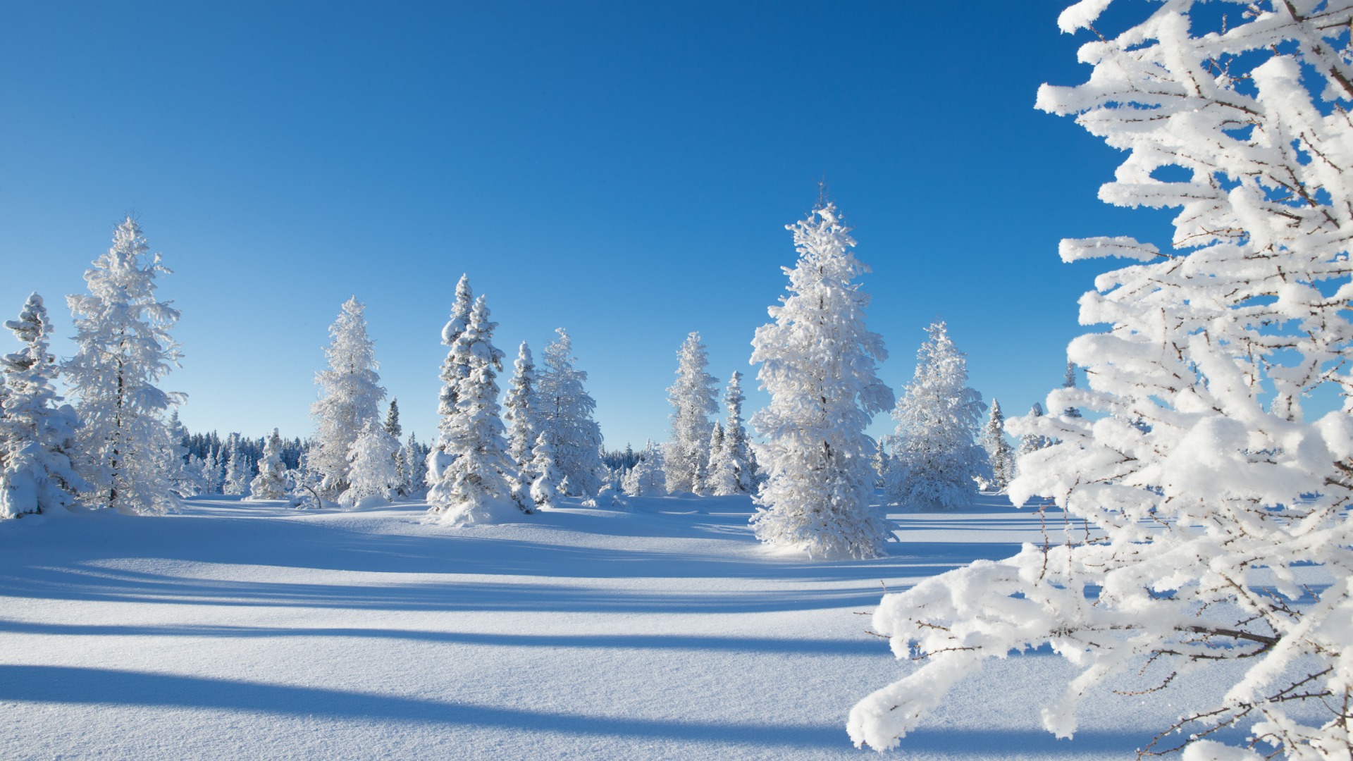 Winter Landscape Desktop Wallpapers - Wallpaper Cave