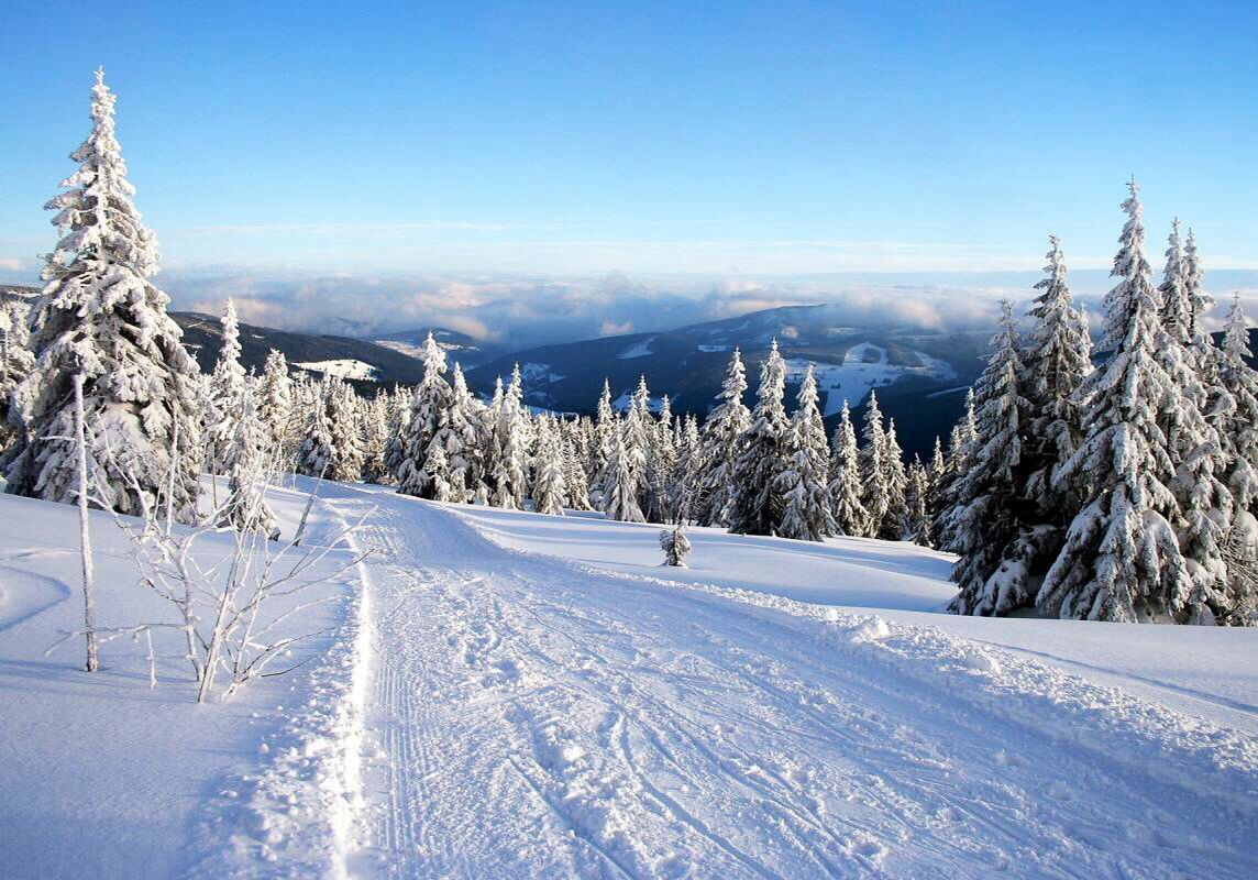 Forest. Winter desktop background, iPhone wallpaper winter, Winter image