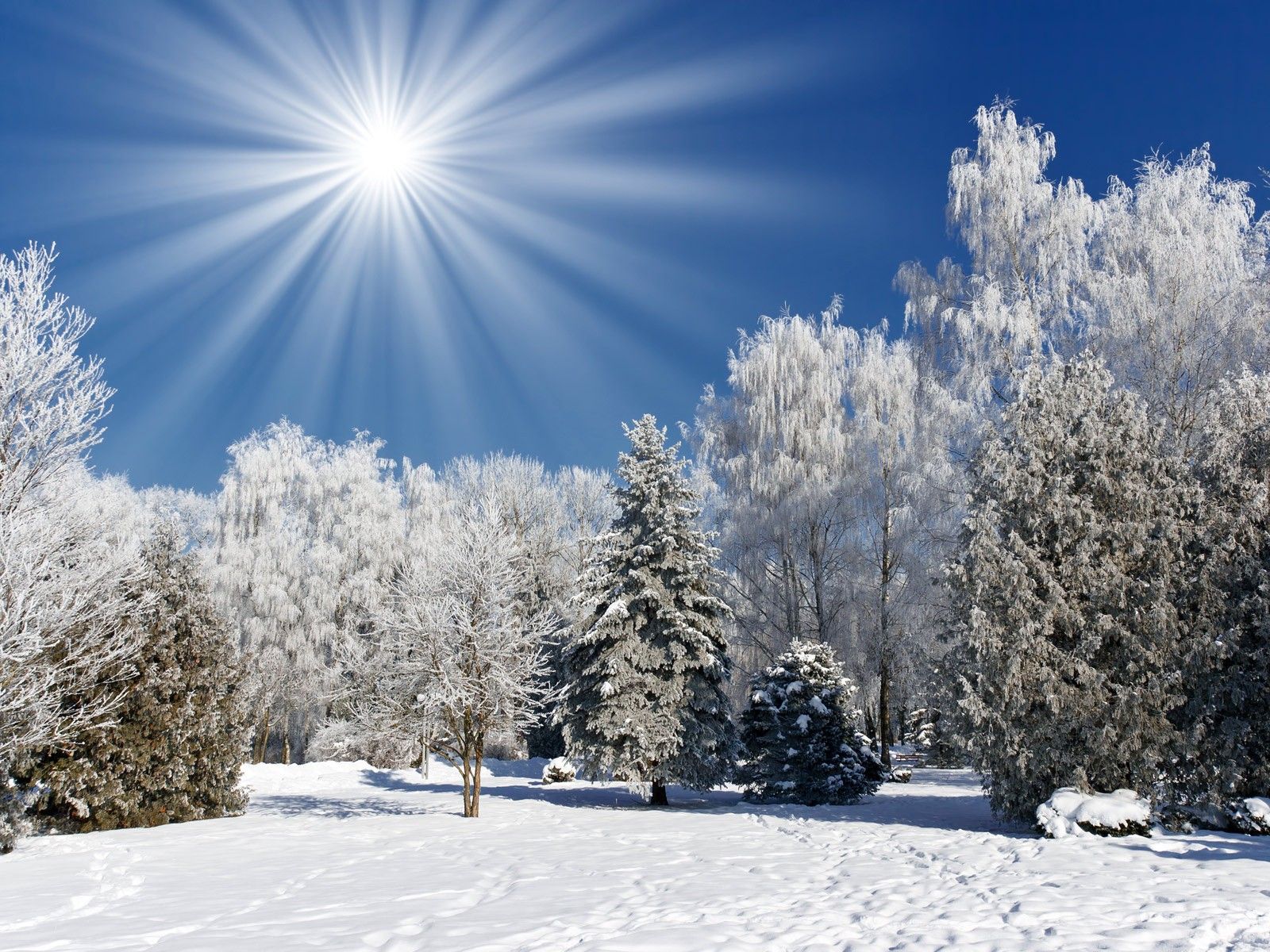 Winter Landscape Desktop Wallpaper, Winter Landscape Background